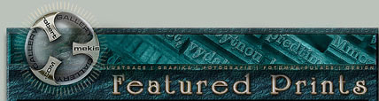 Printing Header